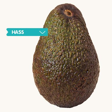 hash avocado